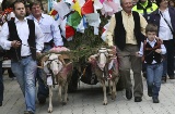 Uma carroça puxada por dois carneiros carrega a oferenda dos vizinhos de um pequeno núcleo populacional na festa de Mondas, em Talavera de la Reina (Toledo, Castela-La Mancha)