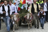 A cart pulled by two rams carrying an offering from parishioners at the fiesta of Las Mondas in Talavera de la Reina (Toledo, Castilla-La Mancha)