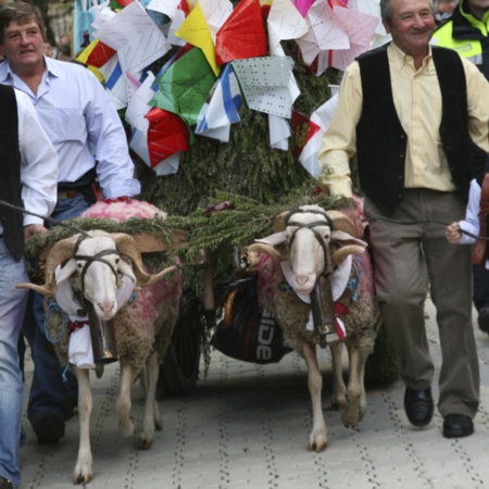 Uma carroça puxada por dois carneiros carrega a oferenda dos vizinhos de um pequeno núcleo populacional na festa de Mondas, em Talavera de la Reina (Toledo, Castela-La Mancha)