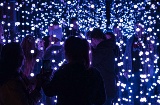 Festive Christmas garden lit up at a prior edition in Berlin