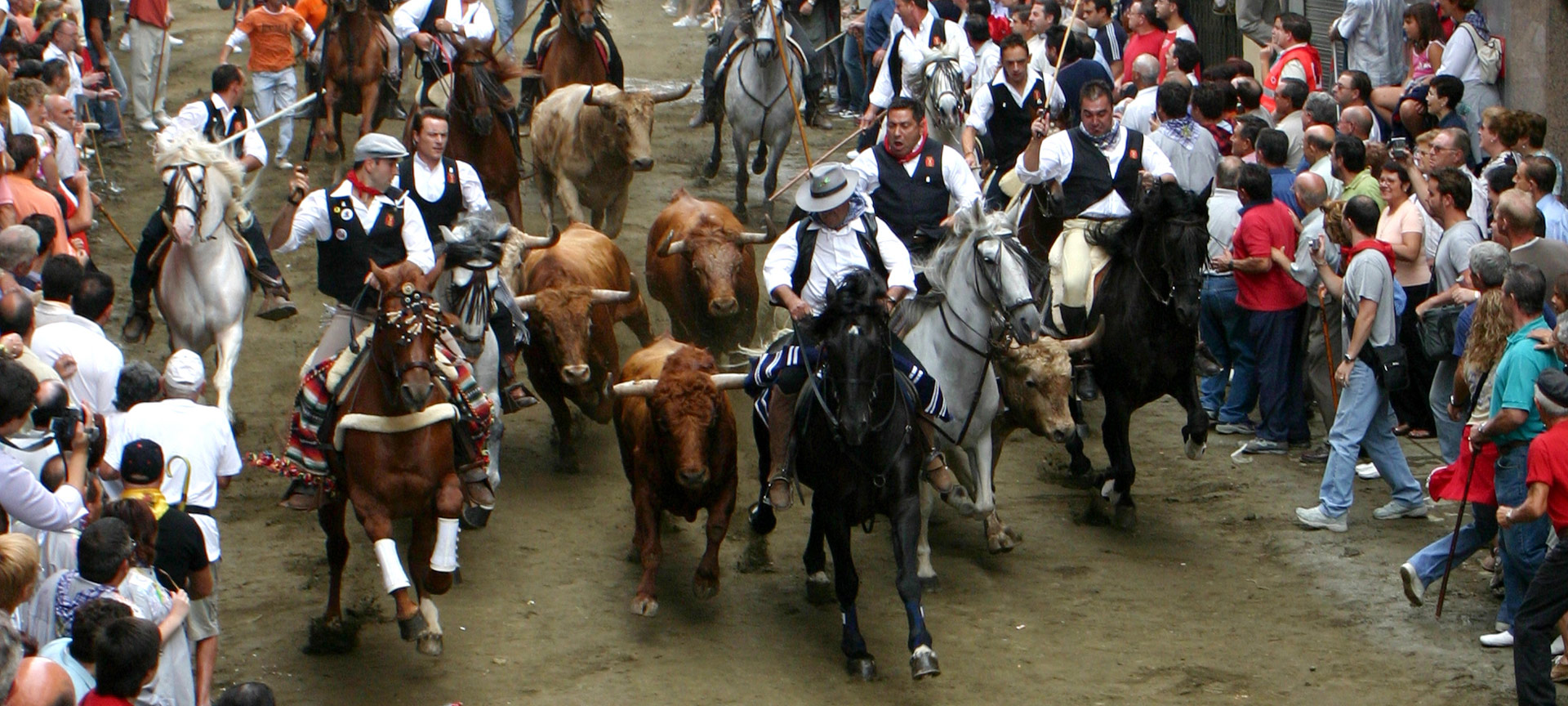 Ingresso di tori e cavalli di Segorbe Ingresso di tori e cavalli di Segorbe