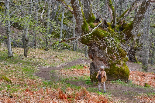 Осенний пейзаж в долине Амброс