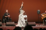 Festival Flamenco Mérida Guitare espagnole