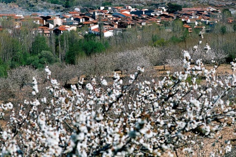 Vale do Jerte (Cáceres)