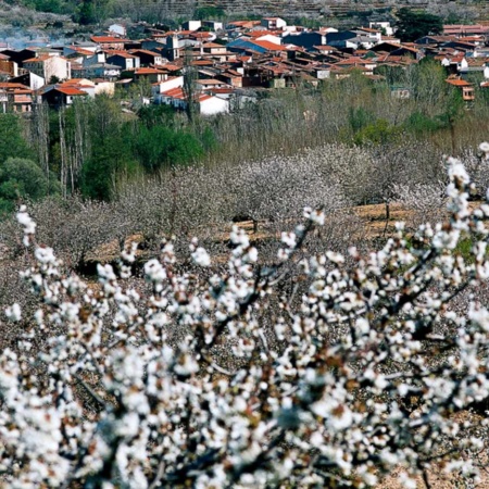 Vallée du Jerte (province de Cáceres)