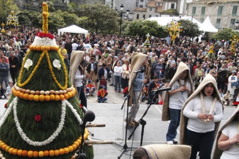 Festa dos Maios de Pontevedra