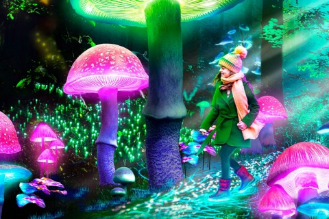 Reconstitution du spectacle « Nature illuminée Origine » 2022-2023