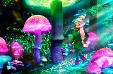Reconstitution du spectacle « Nature illuminée Origine » 2022-2023