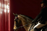 Madrid Horse Week (Мадридская неделя верховой езды)