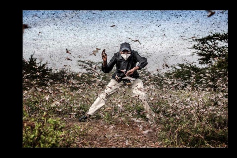Laureat w kategorii „Zdjęcie roku”. Fighting Locust Invasion in East Africa 