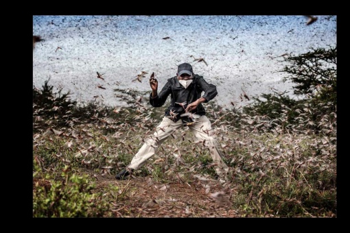 Finalista de “Foto del Año.” Fighting Locust Invasion in East Africa