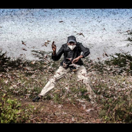 Finalist bei „Foto des Jahres“. Fighting Locust Invasion in East Africa