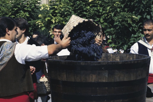 ログローニョ（ラ・リオハ州）で行われるリオハのぶどうの収穫祭