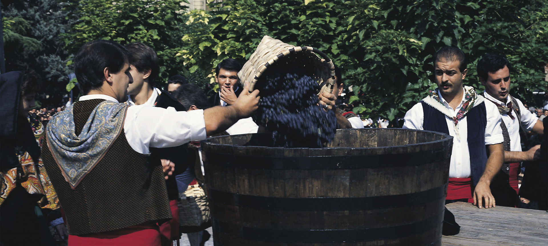 Rioja Wine Harvest Festival Rioja Wine Harvest Festival