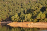 Cancho del Fresno em Cañamero, Cáceres