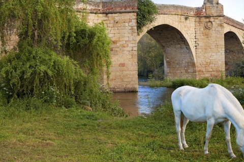 Puente antiguo en Galisteo, Cáceres (Extremadura)