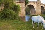 Ponte antico a Galisteo, Cáceres (Estremadura)