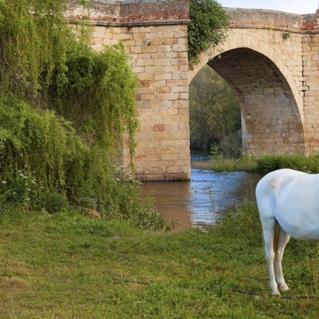 Puente antiguo en Galisteo, Cáceres (Extremadura)
