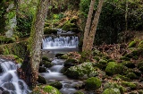 エクストレマドゥーラ州カセレス県のアンブロス渓谷にある町エルバスを流れる川の細部