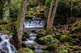 Widok szczegółowy rzeki w Hervás, Valle del Ambroz w Cáceres, Estremadura