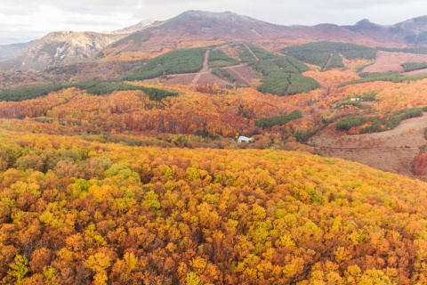 Jesień w Geoparku Villuercas Ibores Jara