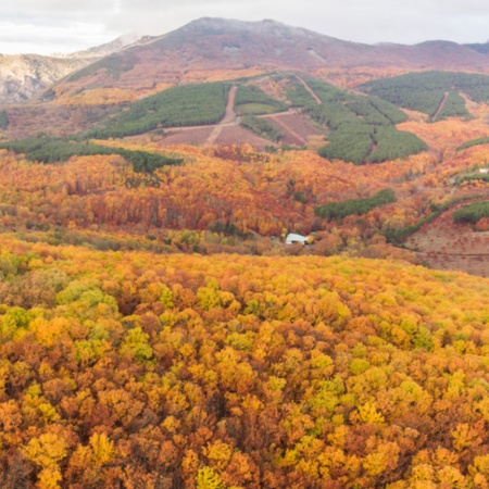 Jesień w Geoparku Villuercas Ibores Jara