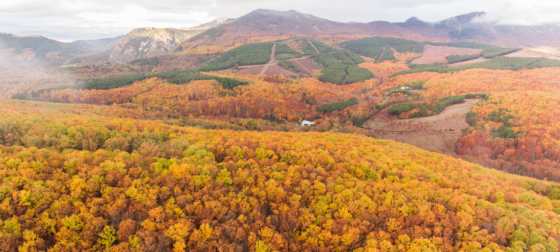 Jesień w Geoparku Villuercas Ibores Jara Jesień w Geoparku Villuercas Ibores Jara