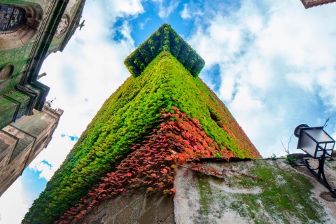 Torre de los Sande. Cáceres