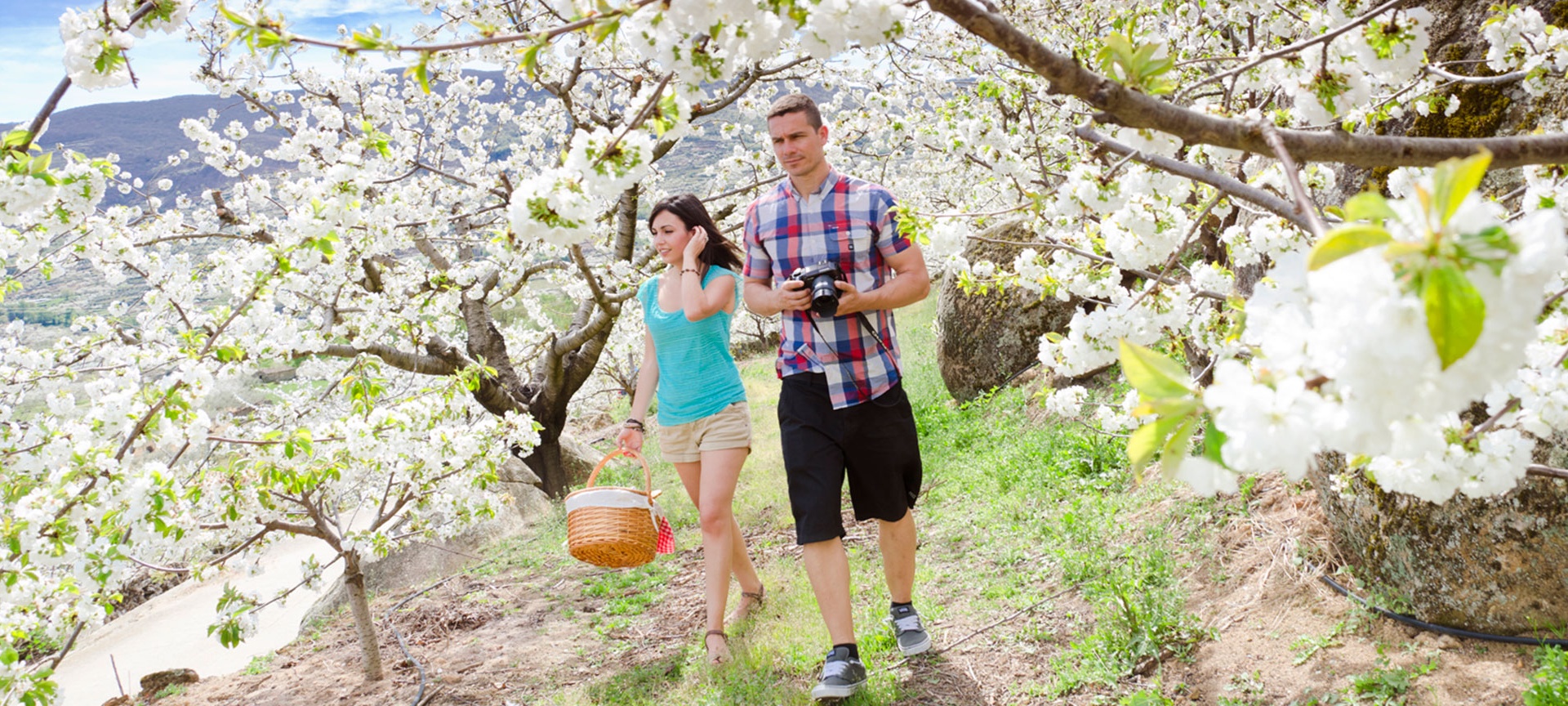 Un couple dans la vallée du Jerte Un couple dans la vallée du Jerte