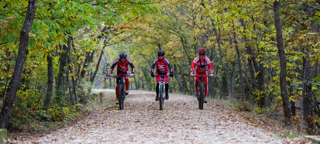 Grupo de ciclistas en la Vía Verde Ruta de la Plata en Cáceres