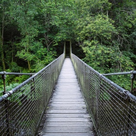 Suspension bridge in the Fragas do Eume Natural Park in A Coruña, Galicia