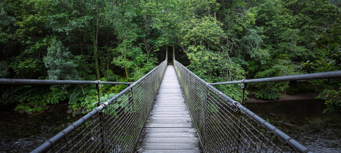 Ponte suspensa no Parque Natural de Fragas do Eume em A Corunha, Galiza