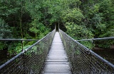 Ponte suspensa no Parque Natural de Fragas do Eume em A Corunha, Galiza