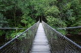 Suspension bridge in the Fragas do Eume Natural Park in A Coruña, Galicia