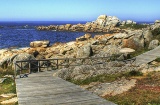 Praia de San Vicente, em O Grove (Pontevedra, Galícia)