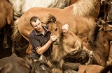 Un <i>aloitador</i> sostiene un cavallo selvaggio nella tradizionale festa della "Rapa das Bestas" di Sabucedo