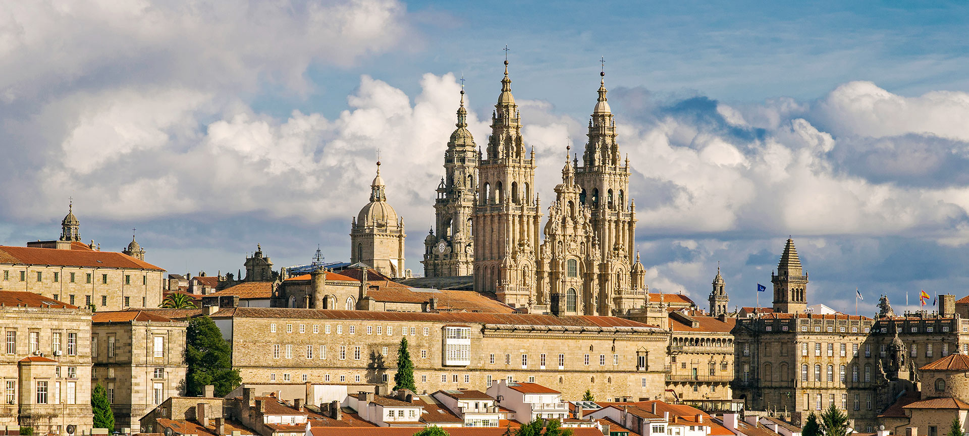 Santiago de Compostela Cathedral (A Coruña)