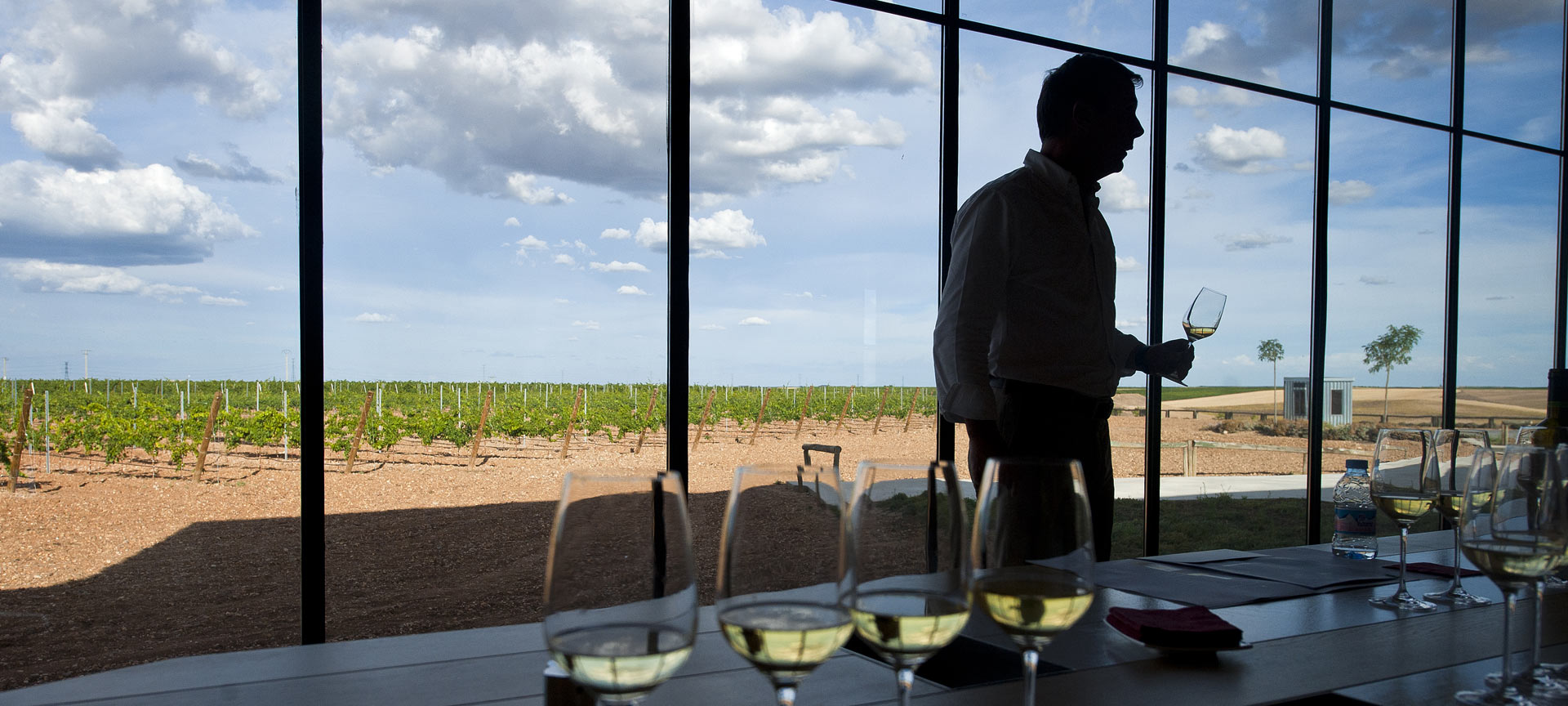 Ruta del Vino de Rueda 