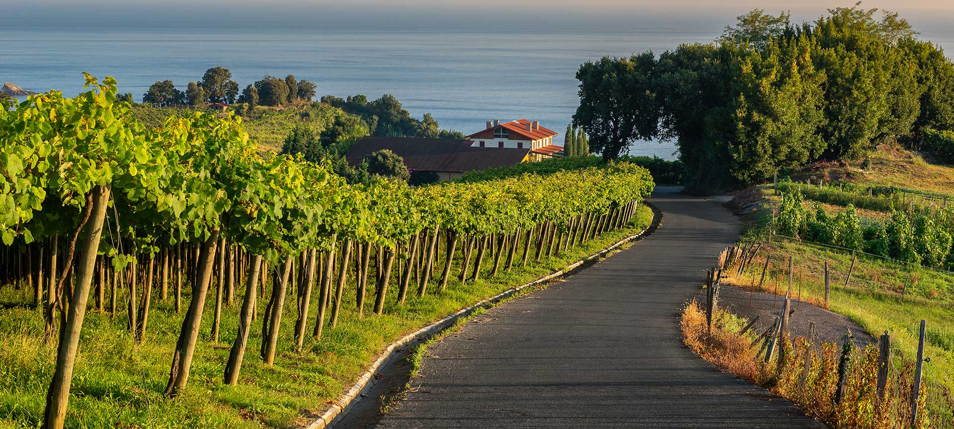 Txakoli-Route, Getaria Txakoli-Route, Getaria