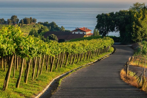 Ruta del Txakoli, Getaria