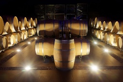 Barricas no interior de uma vinícola no Roteiro do Vinho de Madri