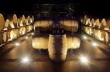 Barrels inside a winery on Madrid