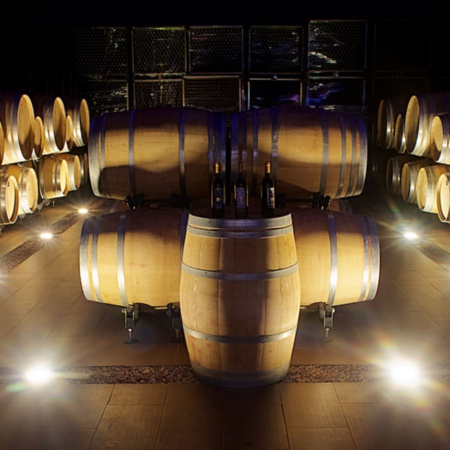 Barrels inside a winery on Madrid