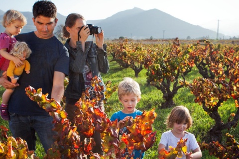 Family visit to a winery on the Alicante Wine Route