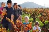 Visita familiar a uma adega do Roteiro do Vinho de Alicante