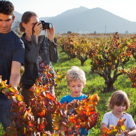 Family visit to a winery on the Alicante Wine Route