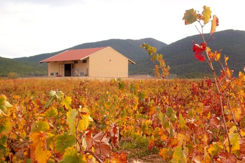 Winnica Bodega Monastrell na Szlaku Wina Bullas