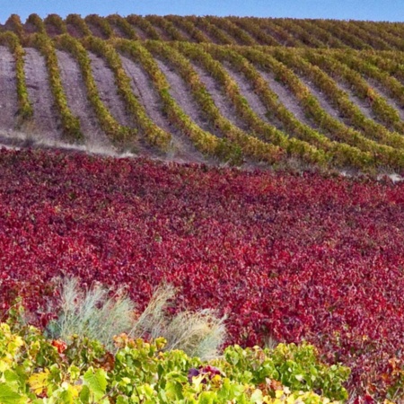カリニェナのワインルートの風景