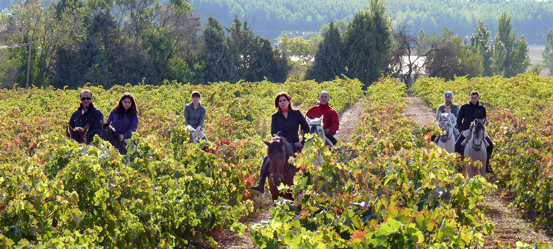 Roteiro do Vinho de Cigales