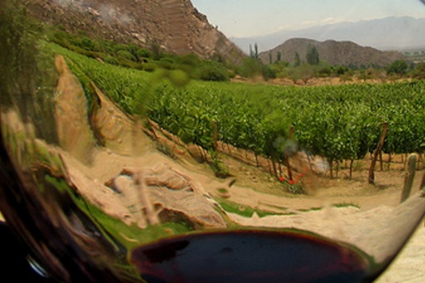 Szlak Wina La Garnacha – Campo de Borja